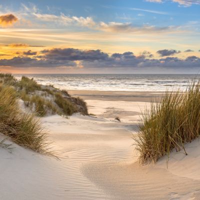 View from dune top over North Sea